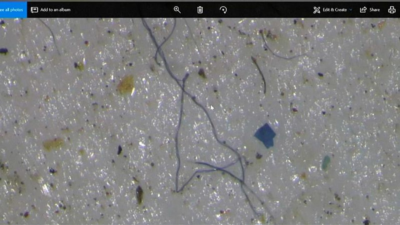 Plastik auch im arktischen Eis