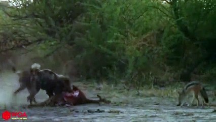 서산출장안마 -후불100%ョOiOV2671V8135｛카톡ZHF526｝  서산전지역출장안마 서산오피걸 서산출장마사지 서산안마 서산출장마사지 서산콜걸샵ぺ≗㍐