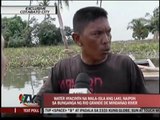 Thick water hyacinths block river in Cotabato