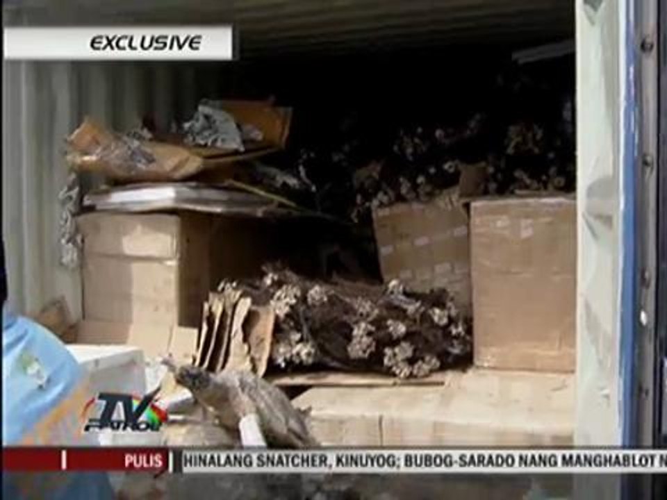 EXCLUSIVE: Chinoy tagged in black coral smuggling