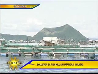 Batangueños learn their lesson from Taal Lake fishkill