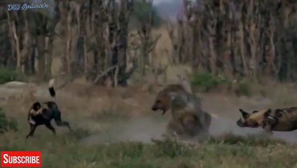 시흥출장안마 -후불100%ョOiOE2997E5327｛카톡QR091｝  시흥전지역출장안마 시흥오피걸 시흥출장마사지 시흥안마 시흥출장마사지 시흥콜걸샵⾸㌛お