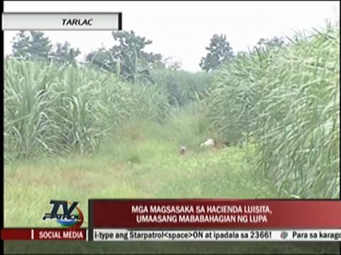 Some Luisita farmers dismayed at SC referendum