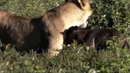 범계출장안마 -후불100%ョO7OW7301W9649｛카톡LA25｝  범계전지역출장안마 범계오피걸 범계출장마사지 범계안마 범계출장마사지 범계콜걸샵≘ば㌡