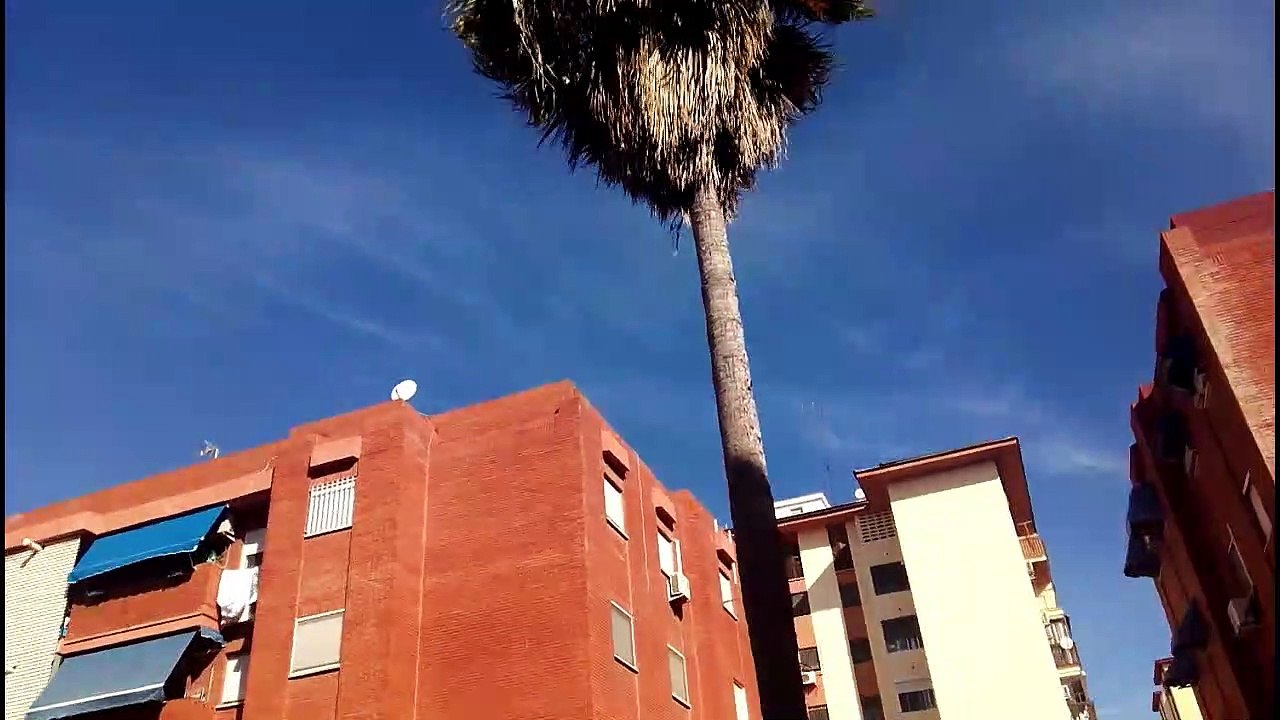 2019-08-11A La rutina gigante
