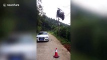 Scooter transported on truck ends up tangled in power lines above road in China