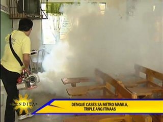Dengue cases triple in Metro Manila