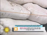 11M sacks of rice rotting in NFA, farmers say