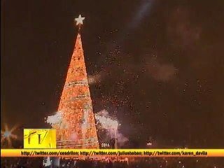 PH tallest Christmas tree found in Palawan