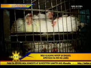 Safe ways to stave off the cold