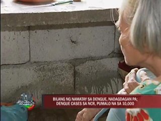 DOH to launch clean-up drive to fight dengue