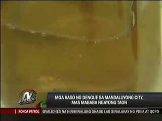 Mandaluyong shows way in anti-dengue drive