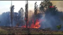 Malatya'da iki farklı alanda çıkan yangın, 20 hektarlık alanı küle çevirdi