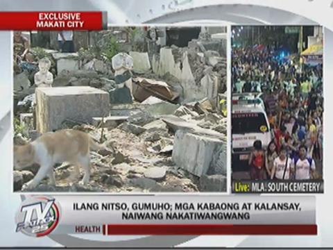 Tombs collapse; coffins, skeletons left scattered