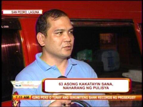 63 dogs rescued in Laguna