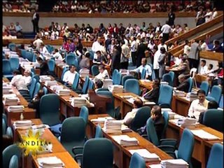 Thousands of women attend pro-RH bill march