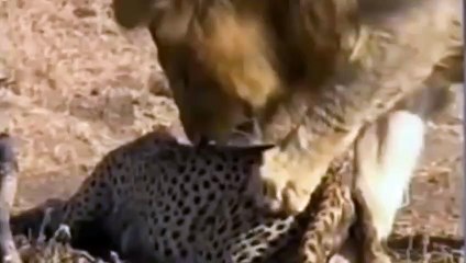 건대역출장안마 -후불1ØØ%ョØ7ØM7575M0062｛카톡DDR88｝ 건대역전지역출장마사지 건대역오피걸 건대역출장안마 건대역출장마사지 건대역출장안마 건대역출장콜걸샵안마 건대역출장아로마건대역출장샵㌵⺦≀