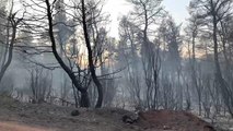 Waldbrände in Griechenland: Gefahr noch nicht gebannt