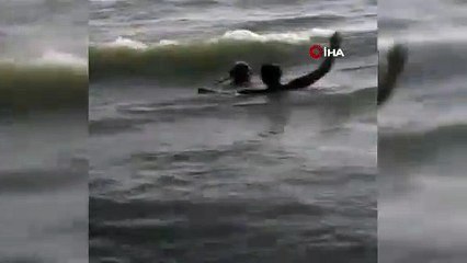 Köpek denize giren kişinin boğulduğunu sandı, kurtarmaya çalıştı