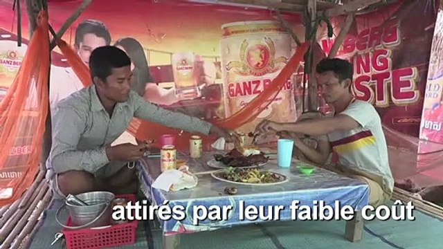 Le rat en brochette, un mets fin de Battambang au Cambodge