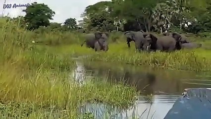 오산출장안마 -후불1ØØ%ョO7OV7333V9649｛카톡LA666｝ 오산전지역출장마사지 오산오피걸 오산출장안마 오산출장마사지 오산출장안마 오산출장콜걸샵안마 오산출장아로마 오산출장㌖⻚⾳