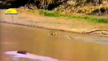 화천출장안마 -후불1ØØ%ョO7OW5222W7802｛카톡LGT010｝ 화천전지역출장마사지 화천오피걸 화천출장안마 화천출장마사지 화천출장안마 화천출장콜걸샵안마 화천출장아로마 화천출장㌦ま≇