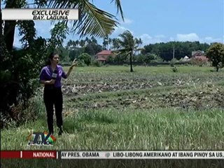 EXCLUSIVE: 7 y/o survives rape, murder try