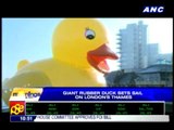 Giant rubber duck sets sail on London's Thames