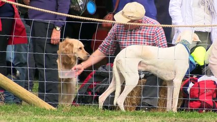 Countryfile Live At Castle Howard!