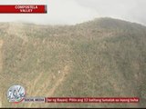 Aerial shots show Typhoon Pablo devastation