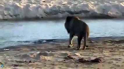 횡성출장안마 -후불1ØØ%ョO7OV5222V7802｛카톡VV23} 횡성전지역출장마사지 횡성오피걸 횡성출장안마 횡성출장마사지 횡성출장안마 횡성출장콜걸샵안마 횡성출장아로마 횡성출장◍㌙∈