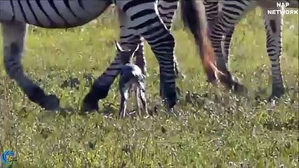 고성출장안마 -후불1ØØ%ョØ7ØE7575E0069｛카톡RD654｝ 고성전지역출장마사지 고성오피걸 고성출장안마 고성출장마사지 고성출장안마 고성출장콜걸샵안마 고성출장아로마고성출장샵㌣し∑