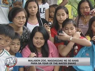 Malabon Zoo gets 50 more snakes to welcome 2013