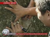 NBI recovers 7 more slugs in Quezon crime scene