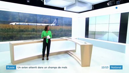 Russie : atterrissage d'urgence pour un A321 percuté par des oiseaux