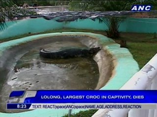 Lolong, largest croc in captivity, dies