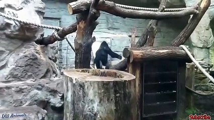 울주출장안마 -후불1ØØ%ョO7OV7301V9649｛카톡MOK66} 울주전지역출장마사지 울주오피걸 울주출장안마 울주출장마사지 울주출장안마 울주출장콜걸샵안마 울주출장아로마울주출장샵≐⾺ぺ