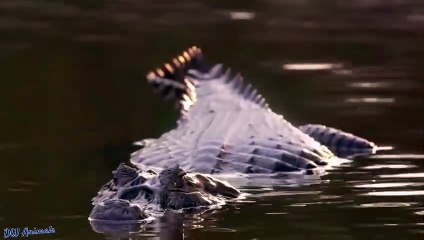 건대역출장안마 -후불1ØØ%ョØ7ØM7575M0062｛카톡DDR88｝ 건대역전지역출장마사지 건대역오피걸 건대역출장안마 건대역출장마사지 건대역출장안마 건대역출장콜걸샵안마 건대역출장아로마건대역출장샵∩㌲㌿