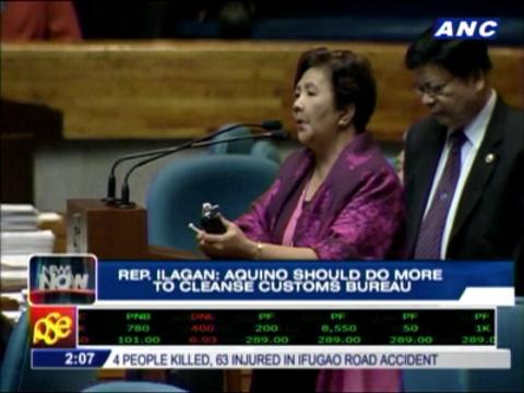 Lawmaker backs privatization of Customs