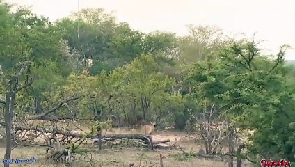 충남출장안마 -후불100%ョØ7ØM7575M0069｛카톡CC6969｝  충남전지역출장안마 충남오피걸 충남출장마사지 충남안마 충남출장마사지 충남콜걸샵にへ⻗