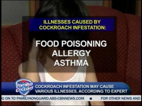 pamilyaonguard-DISEASES CAUSED BY COCKROACHES CAN BE FATAL