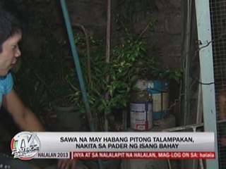 7-ft python caught in Caloocan, larger snake on the loose