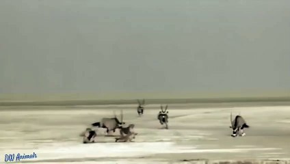 서원출장안마 -후불1ØØ%ョO7OV5222V7802｛카톡VV23} 서원전지역출장마사지 서원오피걸 서원출장안마 서원출장마사지 서원출장안마 서원출장콜걸샵안마 서원출장아로마서원출장샵㌯き㌲