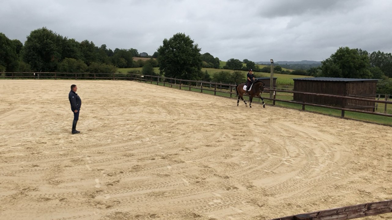 Entraînement de para-dressage avec Philippe Célérier