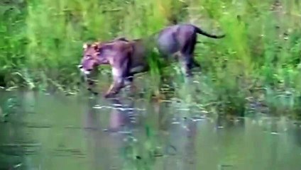 광산출장안마 -후불100%ョØ7ØE7575E0062｛카톡DK654｝  광산전지역출장안마 광산오피걸 광산출장마사지 광산안마 광산출장마사지 광산콜걸샵●∡⊔