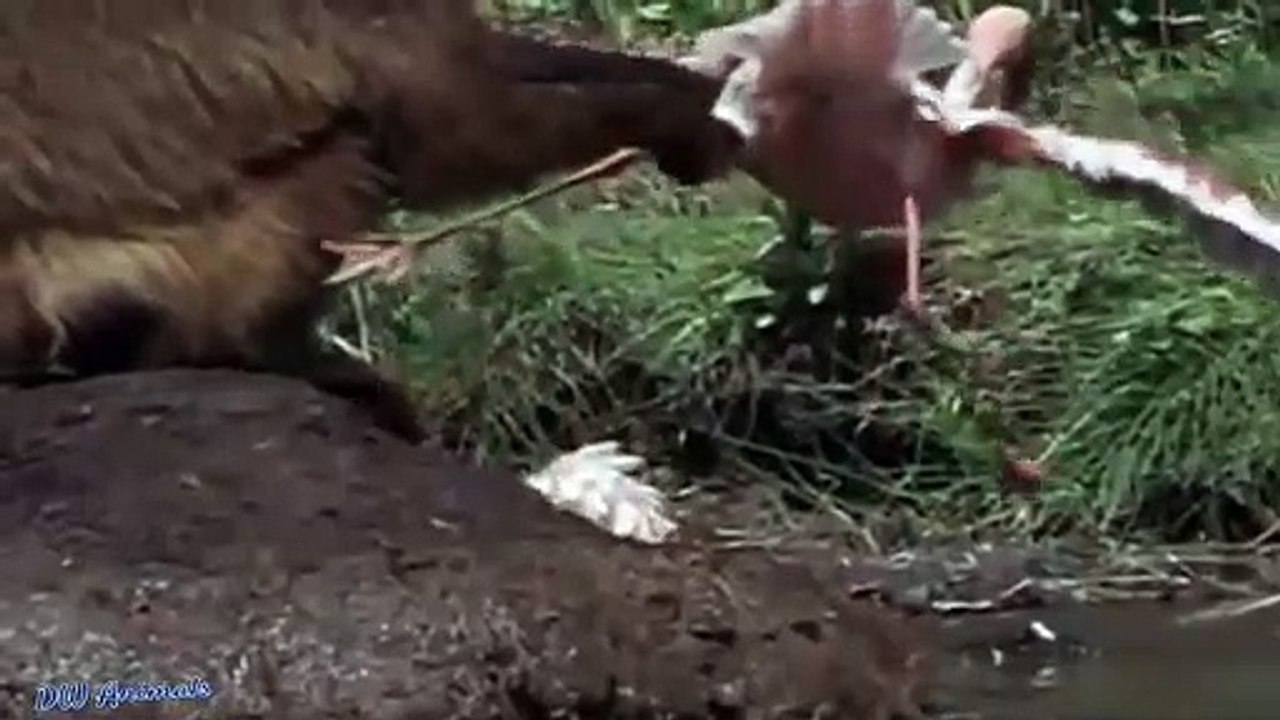 전남출장안마 -후불1ØØ%ョØ7ØM7575M0062｛카톡DDR88｝ 전남전지역출장마사지 전남오피걸 전남출장안마 전남출장마사지 전남출장안마 전남출장콜걸샵안마 전남출장아로마전남출장샵∥≨ぱ