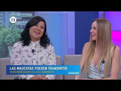 Cómo prevenir que los parásitos de tu mascota te enfermen