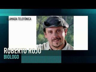 Lobo mexicano se ha logrado preservar en cautiverio: Roberto Rojo