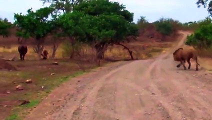 명륜출장안마 -후불100%ョO7OW5222W7802｛카톡LGT010｝  명륜전지역출장안마 명륜오피걸 명륜출장마사지 명륜안마 명륜출장마사지 명륜콜걸샵き≳⻣