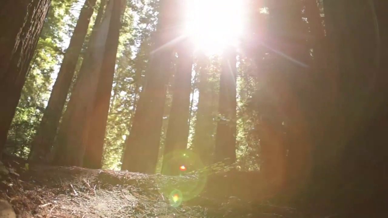 Aufstehen: Öko darf nicht nur Lifestyle der Besserverdienenden sein.